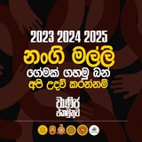වාණිජ එකමුතුව | PAPERS