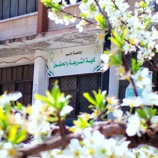 ملخصات الشريعة والحقوق