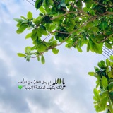 اقتباسات عبارات اشعار