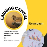 EARNING CAPITAL