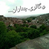 گالری چناران