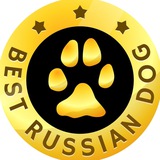 BEST RUSSIAN DOG ЛУЧШИЕ СОБАКИ РОССИИ