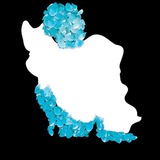 میکروبیولوژی،شهرقدس️