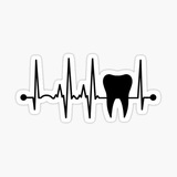 dental quiz 🦷