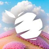 Citrus Fitness Любимый / Цитрус Фитнес