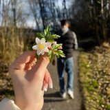 سفر اليَاسَمين 🌼 🌺 <i class="emoji" style="background-i