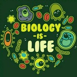 7 - sinF ZooLogiya