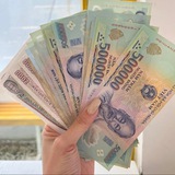 VIỆT NAM - Tư liệu thực tế