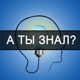 А ты знал? | Интересные факты