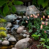 Gardening lovers
