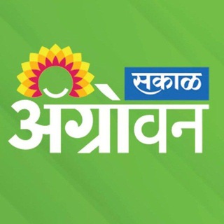 Agrowon Daily Newspapers ॲग्रोवन शेती वृत्तपत्र | शेती विषयक माहिती | Agriculture News