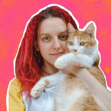 🐈 Покусаева про дизайн