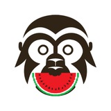 吃瓜时报
