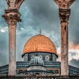 محمد عبده المنزلاوي