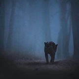 شروحات الكيمياء الصيدلانية 🔥 🔥 <i class="emoji" style="