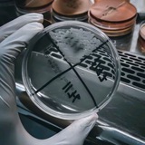لَمـة مُحللـين 🔬 🩸