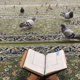 Картинка канала