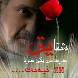🥀 دشت شقایقها 🥀