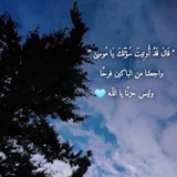 السيرة النبوية والقران الكريم 🥹 🌺