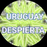 URUGUAY DESPIERTA