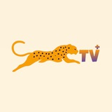 الفهد tv