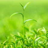 CSIR-UGC NET/JRF( Life Sciences)