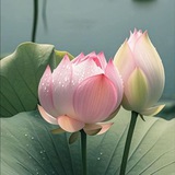 你本該知道