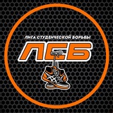 Лига студенческой борьбы