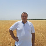 آریان پور