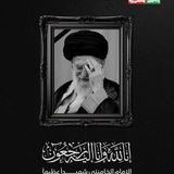 أحباب الإمام الحجة 🔹 💛 ³¹³