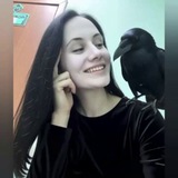 Строчу как хочу