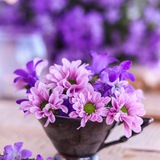 ❤ٲلـمـتعـة بالحـيـاة❤️