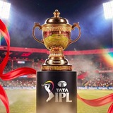 IPL REPORTS