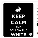 Follow The White Rabbit