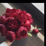 مدرسة الجزائر الابتدائية للبنات