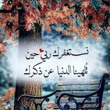 خواطر من نور. ❄