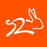 🎓 Rabbit