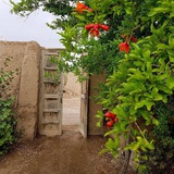 کوچه باغ خاطرات