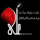 ذائقة الشعر الفصيح