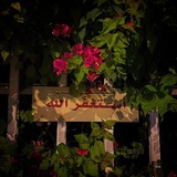 حَورَاء مُحَمَّدْ
