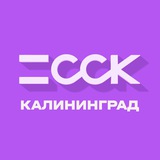 ССК Калининград I Строительная компания