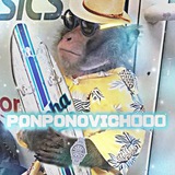 гифки/стикеры с обезьянами пон бибизяны ponponovich000