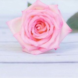 تصاميم أم إسلام 💐