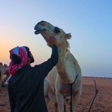 ⁽ ججَببر ١9 ⸀ء .