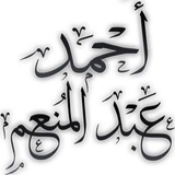أحمد عبد المنعم