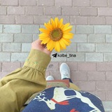 ♡ کلبـہ تے نا ♡ 