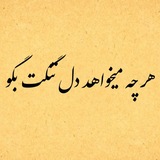 هَرچه میخواهد دلِتنگت بِگو🫂