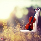 🎻 کورد ـ موزیک 🎸