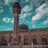 بيج الرمادي للتصوير