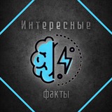 Интересные Факты 🧠